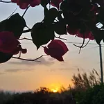 Sophi's L & Agia Anna (Naxos)