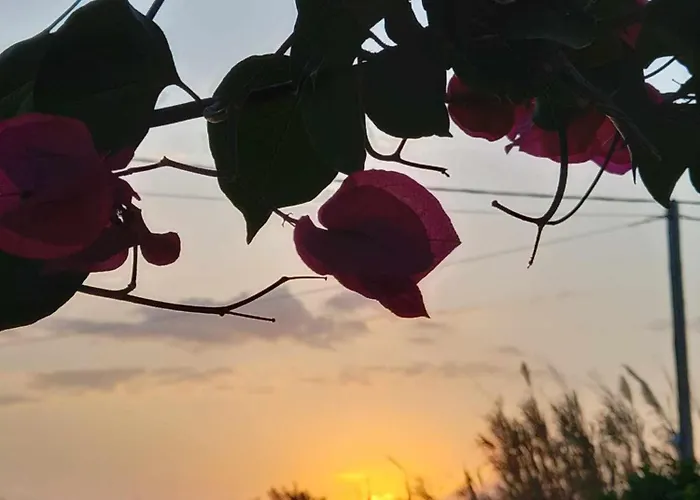 索菲l一室公寓及公寓 Agia Anna (Naxos)