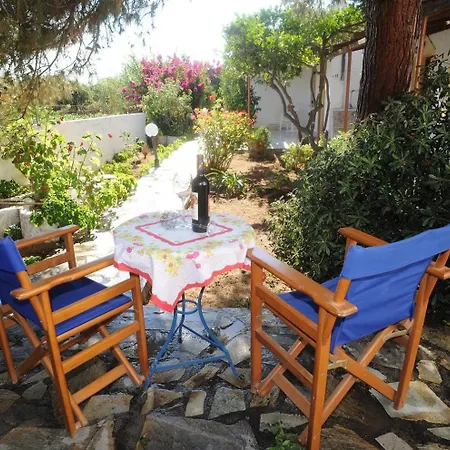 Sophi's L & Айя-Анна