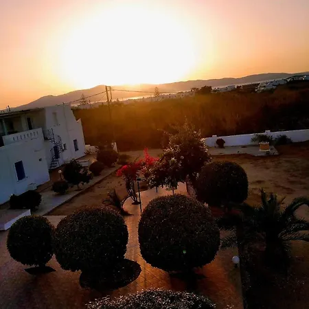 Sophi's L & Айя-Анна