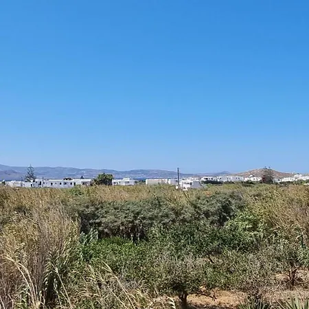 Sophi's L & Apartment Agia Anna (Naxos)