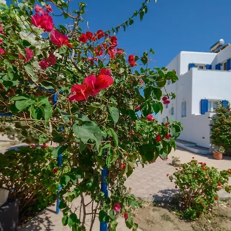 Διαμέρισμα Sophi's L &
