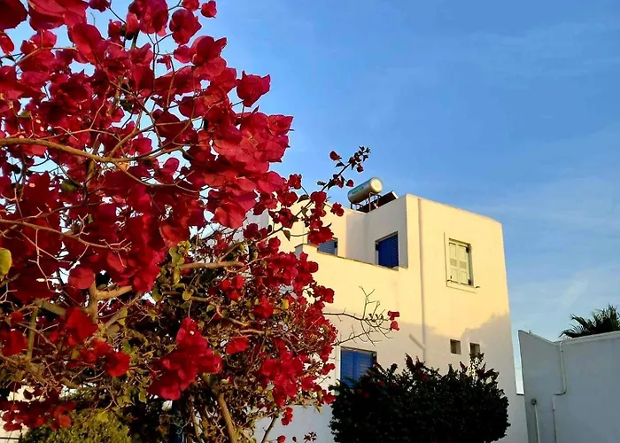 Sophi's L & * Agia Anna (Naxos)